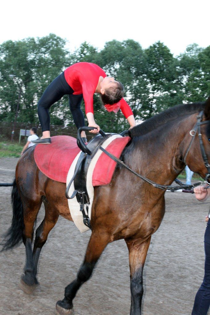 ТОП конно-спортивных клубов Липецка